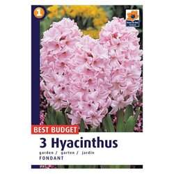 Royal De Ree hyacinthus fondant 3/1 Cene