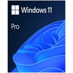 Microsoft Windows Pro FPP 11 64-bit Eng Intl non-EU/EFTA USB, HAV-00164 Cene