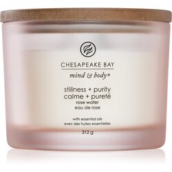 Chesapeake Bay Candle Mind & Body Stillness & Purity mirisna svijeća I. 312 g Cene