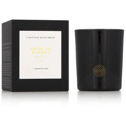 L'artisan Parfumeur Scented Candle Brise De Mimosa 70 g mirisna svijeća Cene