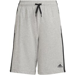 Adidas b 3S sho, šorc za dečake, siva HE9310 Cene