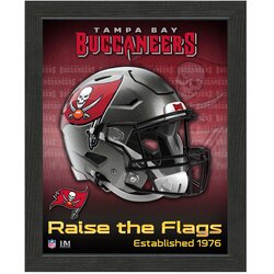 The Highland Mint tampa bay buccaneers team helmet frame fotografija v okvirju Cene