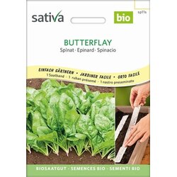 Sativa Špinača, Butterfly semenski trak Cene