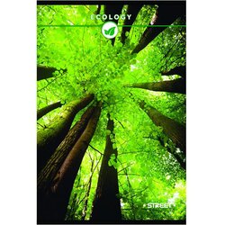 STREET Zvezek A4 , visoki karo, 96 listov, sortirano, 1 kos Cene