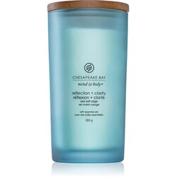 Chesapeake Bay Candle Mind & Body Reflection & Clarity mirisna svijeća 355 g Cene