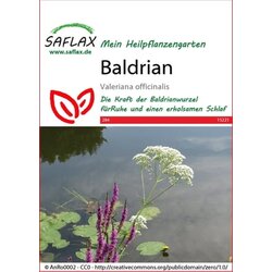 Saflax Baldrijan Cene