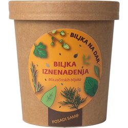 Urbana bašta Biljka na dar Miks začinskog bilja Cene