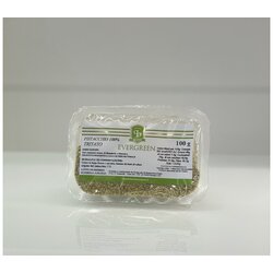 Evergreen Mleveni pistać 100g Cene