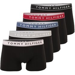 Tommy Hilfiger Underwear Bokserice safirno plava / svijetlosiva / svijetlo crvena / crna Cene