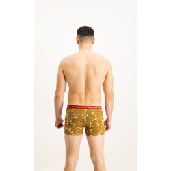 Frogies Men's boxers Zodiac Tehtnica Cene