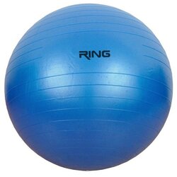 Richmoral Pilates lopta 75cm RX PIL75 Cene