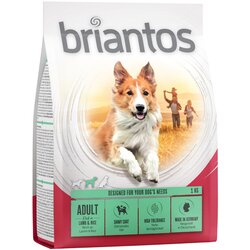 briantos Adult jagnjetina & riž - 1 kg Cene