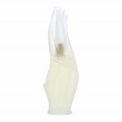 Dkny Cashmere Mist toaletna voda za žene 100 ml Cene