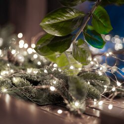 Home lampice za jelku sa 20 hladno belih LED dioda ( ML20/WH ) Cene