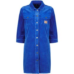 FREEMAN T. PORTER ROLLY VELVET Plava Cene