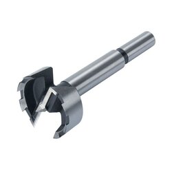 Wolfcraft Forstner svrdla (5 kom) W1002 Cene
