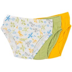 Lucky Kiddo spodnje hlače slip 3 kosi LK-BS2 223 020656 F zelena 122/128 Cene
