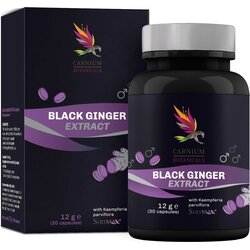 Black Ginger Extract - 30 kaps. Cene