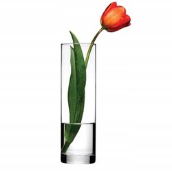 PASABAHCE VAZA FLORA43767 Cene