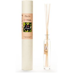 Boles d´olor Difuzor z vonjem mete Ego Dekor, 200 ml Cene