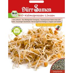 Dürr Samen BIO-kalčki leča - 75 g Cene