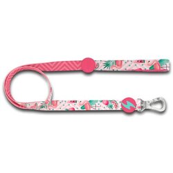 Dashi Flamingo S Cene