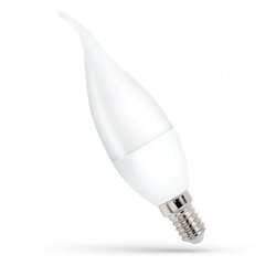 Toolight LED SIJALICA E14 8W CW 6500K DECO Cene
