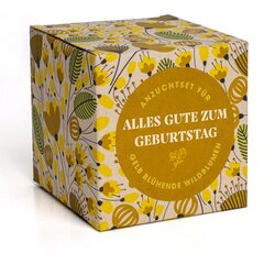 Resetea Vse najboljše za rojstni dan – set za vzgojo rastlin - 1 set. Cene