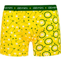 Frogies Men's boxers Zodiac Dvojček Cene