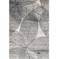 FD Siva preproga 160x230 cm Lush – Cene
