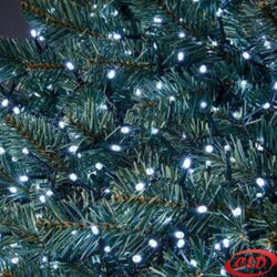 Lampice LED mravi Cene