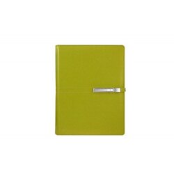 ALICANTE agenda sa mehanizmom A5 superior apple green ( 101.506.40 ) Cene