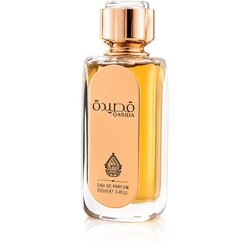 House Of Perfumes Qasida Bronze parfumska voda 100 ml unisex Cene