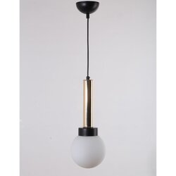 Squid Lighting viseča svetilka s steklenim senčnikom ø 15 cm cota – Cene