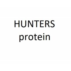 FUN DOG hrana za pse hunters protein 31/13 20kg Cene