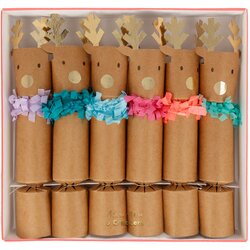Meri Meri darila presenečenja crackers reindeer fringe Cene