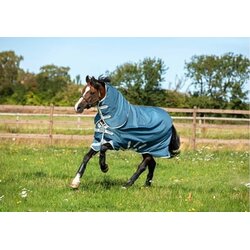 Horseware Ireland Pregrinjalo Amigo AmEco Bravo 12 Plus 100g - 145 cm Cene