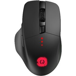 Canyon Mouse – CND-SGMW13 Cijene