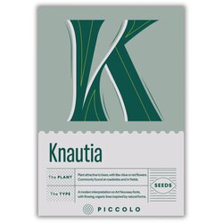 K - Knautia - njivsko grabljišče - 1 pkt. Cene