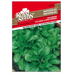 ROYAL SEEDS Sjeme povrća 230 MATOVILAC HOLANDSKI Cene