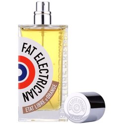 Etat Libre d´Orange Fat Electrician parfemska voda 100 ml za muškarce Cene