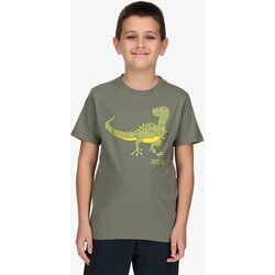 Cocomo majice za dečake pele t-shirt Cene