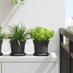  Krožni cvetlični pladenj 6 pcs Črna Ø 14 x 2 cm Plastika, (5000207653) Cene