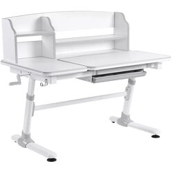 Moye evolution - kids desk grey Cene