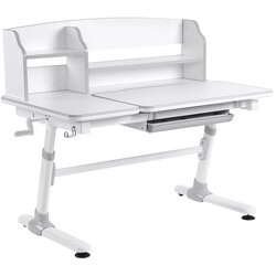 Moye Evolution - Kids Desk Grey Cijene