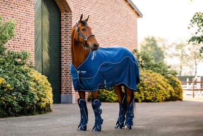 Horseware Ireland Transportno pregrinjalo Signature, Navy - 130 cm Cene