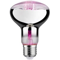PAULMANN LED svjetlo za rast biljaka 230 V E27 6.5 W jantar 1 St. Cene