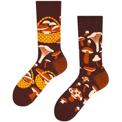 Frogies Nogavice Regular Cene