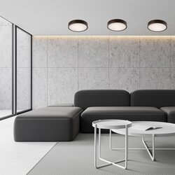 LAMKUR Plafonsko svetlo 2xE27/60W/230V Cene