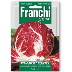 FRANCHI SEMENTI listna zelenjava radič palla rossa Cene
